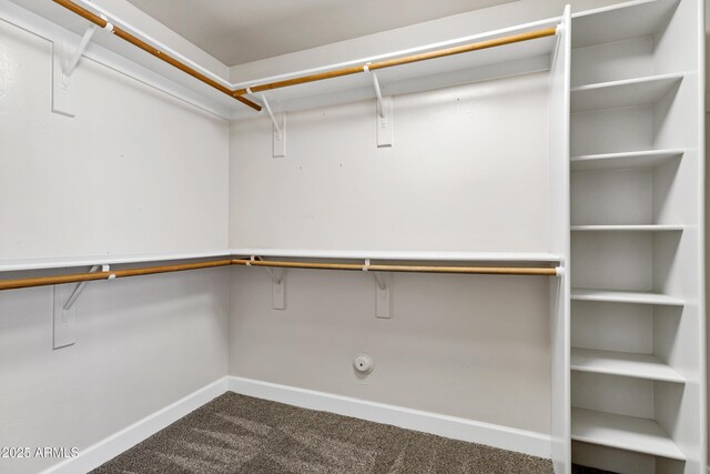 5345 E Mclellan Rd Unit 123, Mesa, AZ 85205 - spacious closet with dark colored carpet