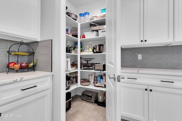 550 E Zion Pl, Chandler, AZ 85249 - view of storage area