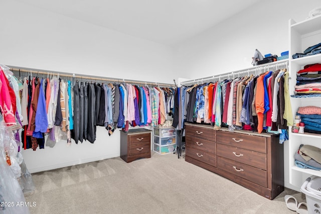 550 E Zion Pl, Chandler, AZ 85249 - walk in closet with light colored carpet