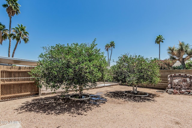 6051 E Ensenada St, Mesa, AZ 85205 - view of yard