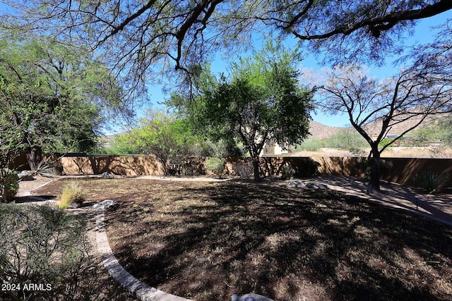 view of yard featuring a mountain view