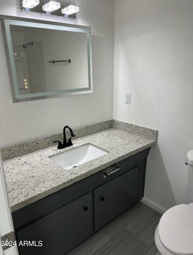 bathroom with vanity and toilet