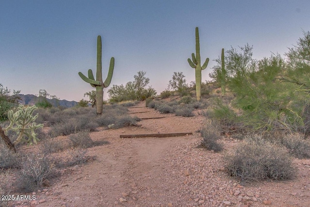 7145 E Cuernavaco Way, Gold Canyon, AZ 85118 - view of nature