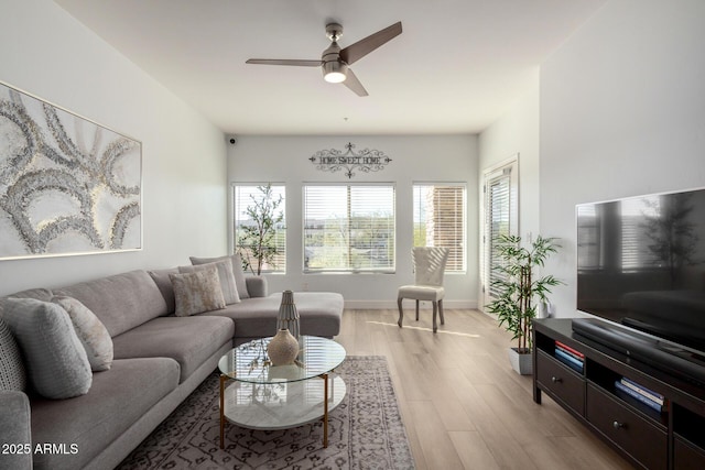 living room with ceiling fan and light hardwood / wood-style floors