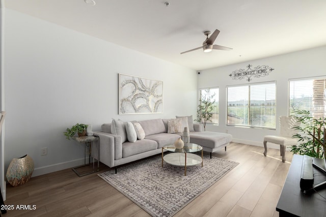 living room with ceiling fan and wood-type flooring