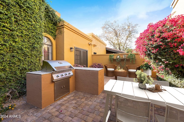 view of patio / terrace with area for grilling and exterior kitchen