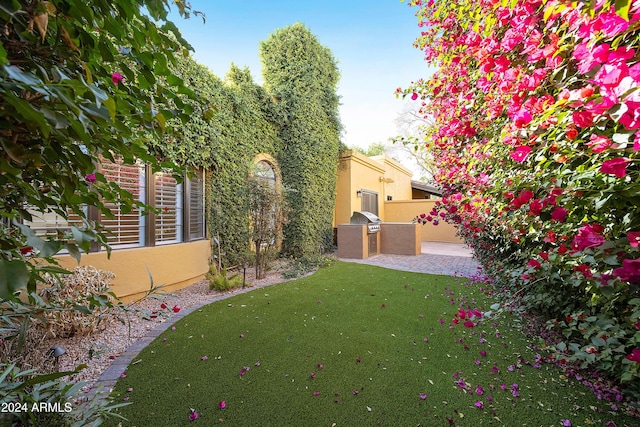 view of yard with an outdoor kitchen and a patio