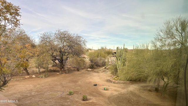 view of nature