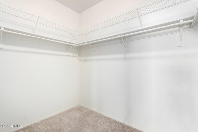 walk in closet with carpet floors