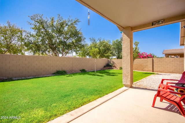 view of yard featuring a patio area