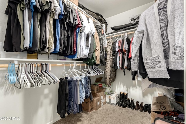 spacious closet with carpet floors