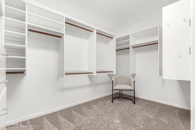 spacious closet featuring carpet floors and lofted ceiling