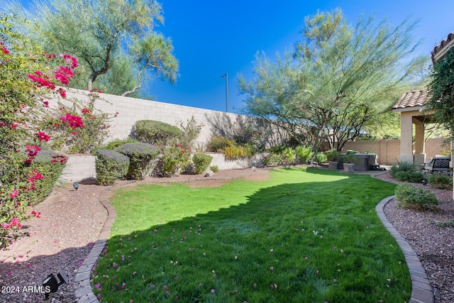 2340 W Horsetail Trl, Phoenix, AZ 85085 - view of yard