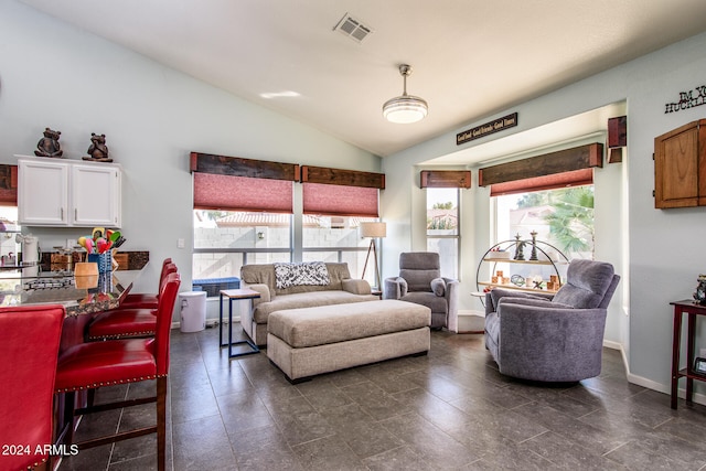 bedroom with multiple windows and vaulted ceiling