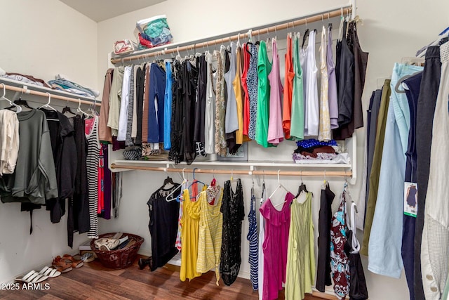 walk in closet featuring wood finished floors