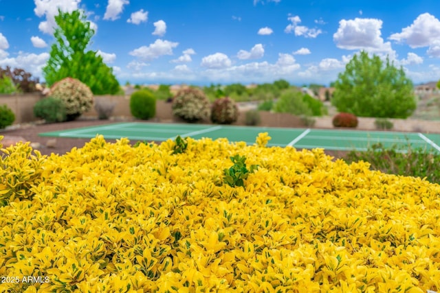 4253 N Yates Ave, Prescott Valley, AZ 86314 - view of yard with fence