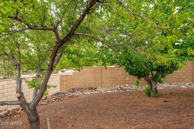 4253 N Yates Ave, Prescott Valley, AZ 86314 - view of fenced backyard