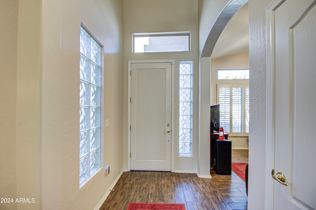 entryway with a healthy amount of sunlight, lofted ceiling, and dark hardwood / wood-style flooring