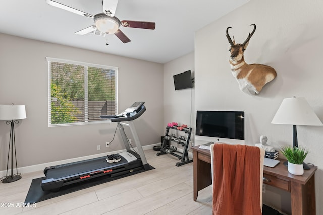 16404 S 18th Dr, Phoenix, AZ 85045 - workout room with ceiling fan, light wood-style floors, and baseboards