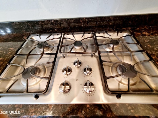 interior details with stainless steel gas cooktop