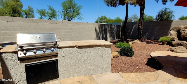 view of patio / terrace with a fenced backyard, area for grilling, and a grill