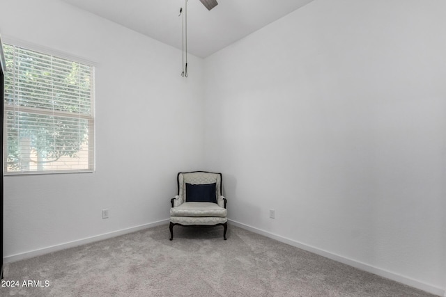 unfurnished room with light colored carpet