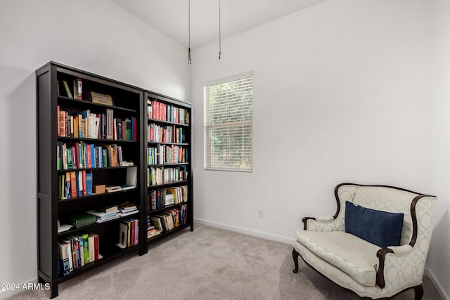 sitting room with light carpet