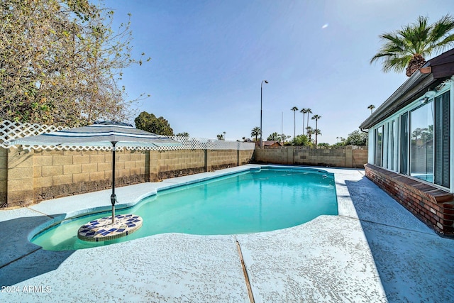 view of swimming pool