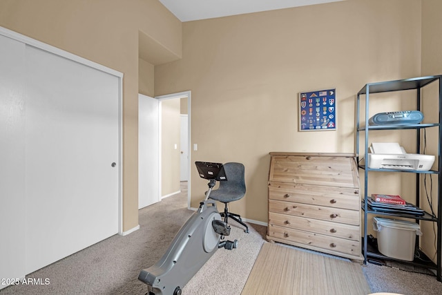 exercise room featuring carpet