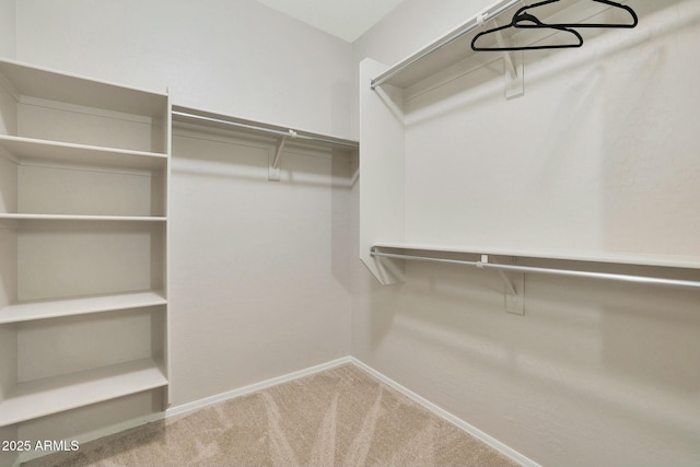 walk in closet featuring carpet