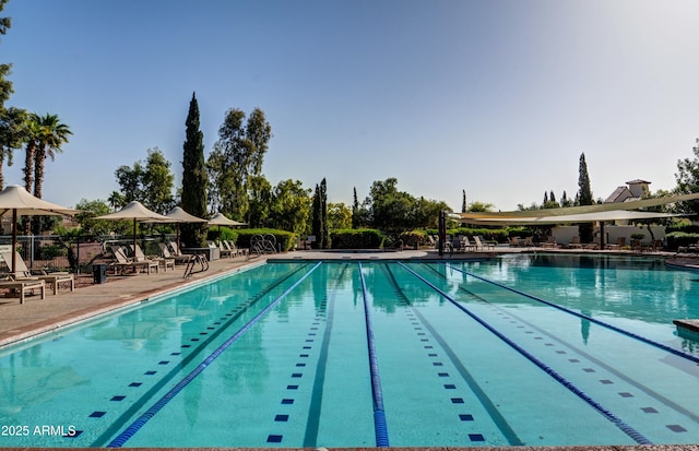 view of pool with a patio area