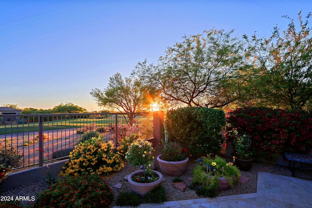 view of yard at dusk