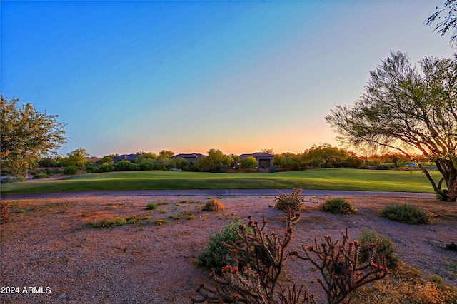 view of yard at dusk