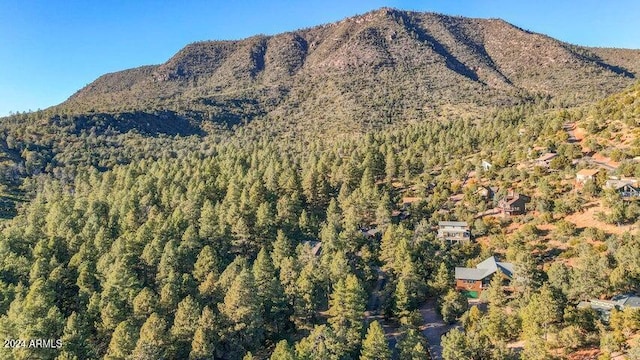 property view of mountains