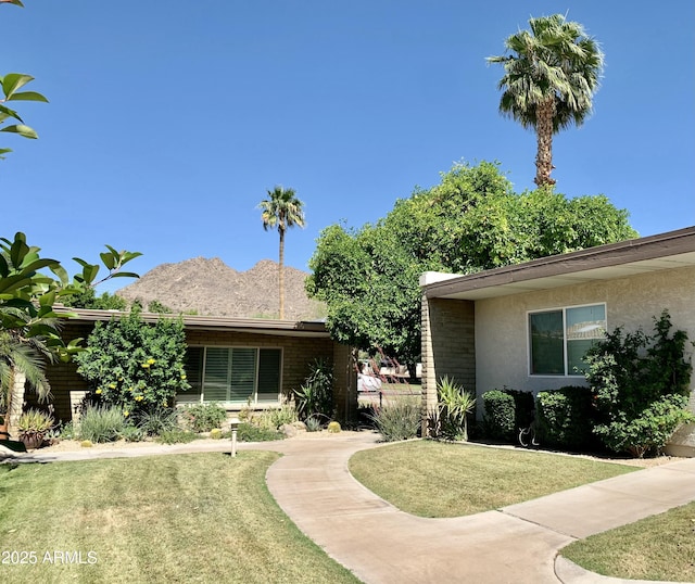 ranch-style home with a front yard