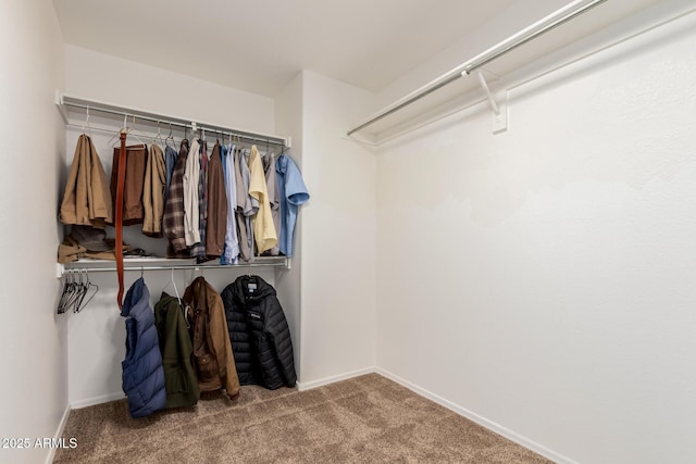 spacious closet featuring carpet floors