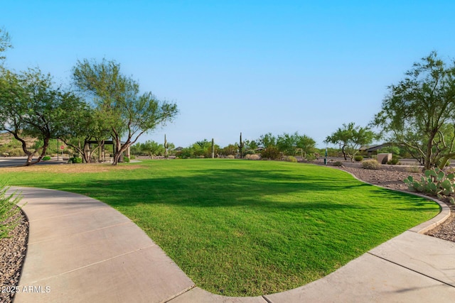 view of community with a yard