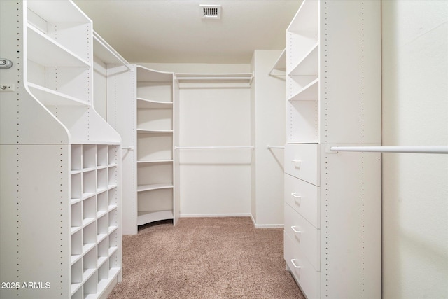 walk in closet with carpet