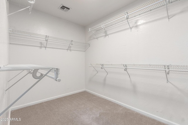 walk in closet with carpet