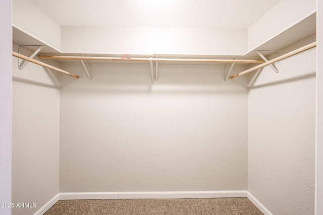 7439 E Ed Rice Ave, Mesa, AZ 85208 - spacious closet featuring carpet floors