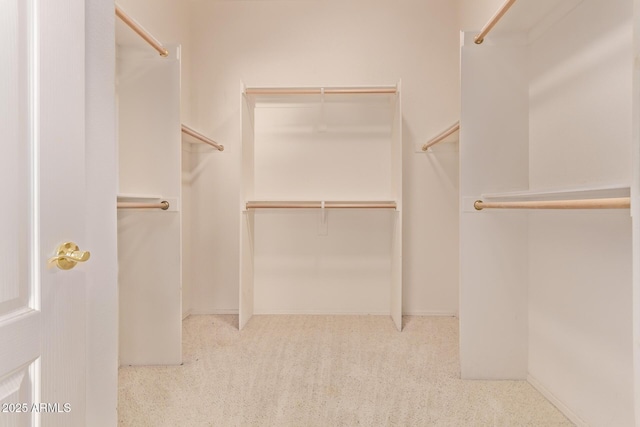 21373 N 94th Ave, Peoria, AZ 85382 - walk in closet featuring carpet floors