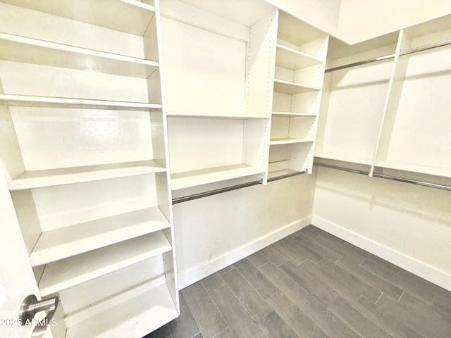 7116 W Sophie Ln, Laveen, AZ 85339 - walk in closet with dark wood finished floors