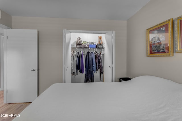 bedroom with a spacious closet, a closet, and wood finished floors