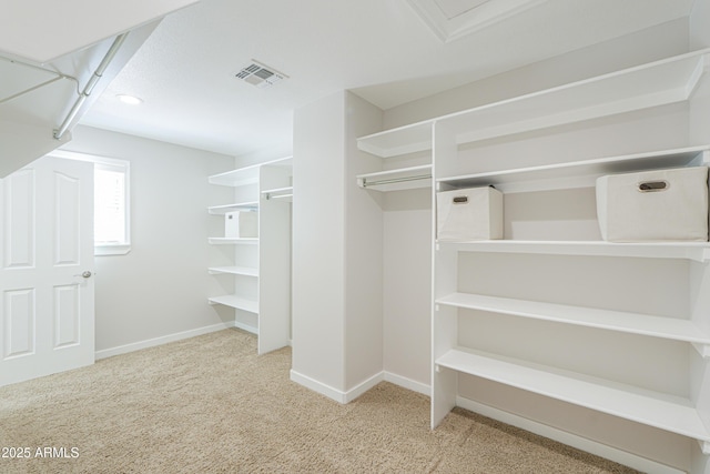 40232 W Marion May Ln, Maricopa, AZ 85138 - spacious closet featuring carpet flooring