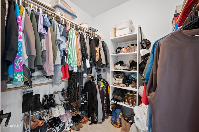 1748 E Cortez Dr, Gilbert, AZ 85234 - spacious closet with carpet