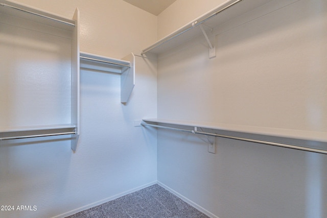 walk in closet featuring carpet flooring