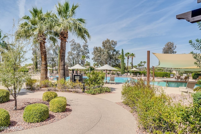 view of community with a swimming pool and a patio area