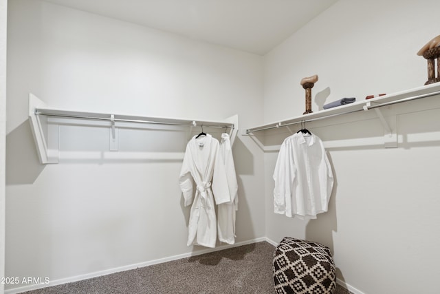 spacious closet featuring carpet flooring