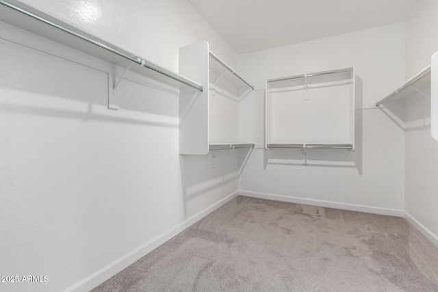 walk in closet with light colored carpet