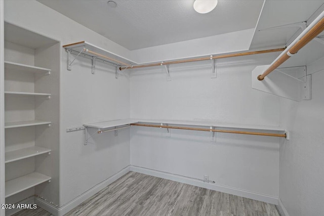 spacious closet featuring light hardwood / wood-style flooring